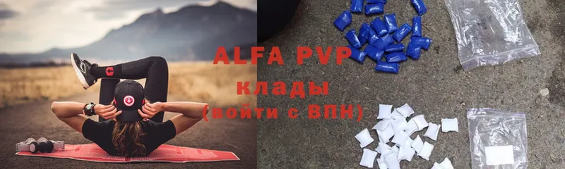 A PVP СК  Заволжье 