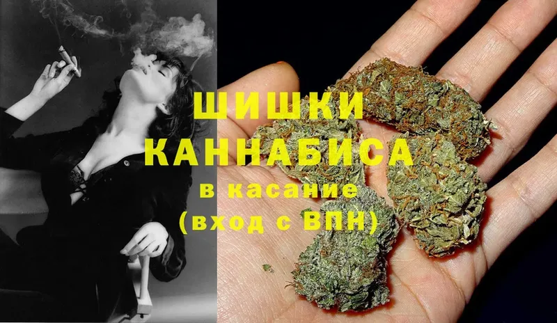 Конопля SATIVA & INDICA  Заволжье 